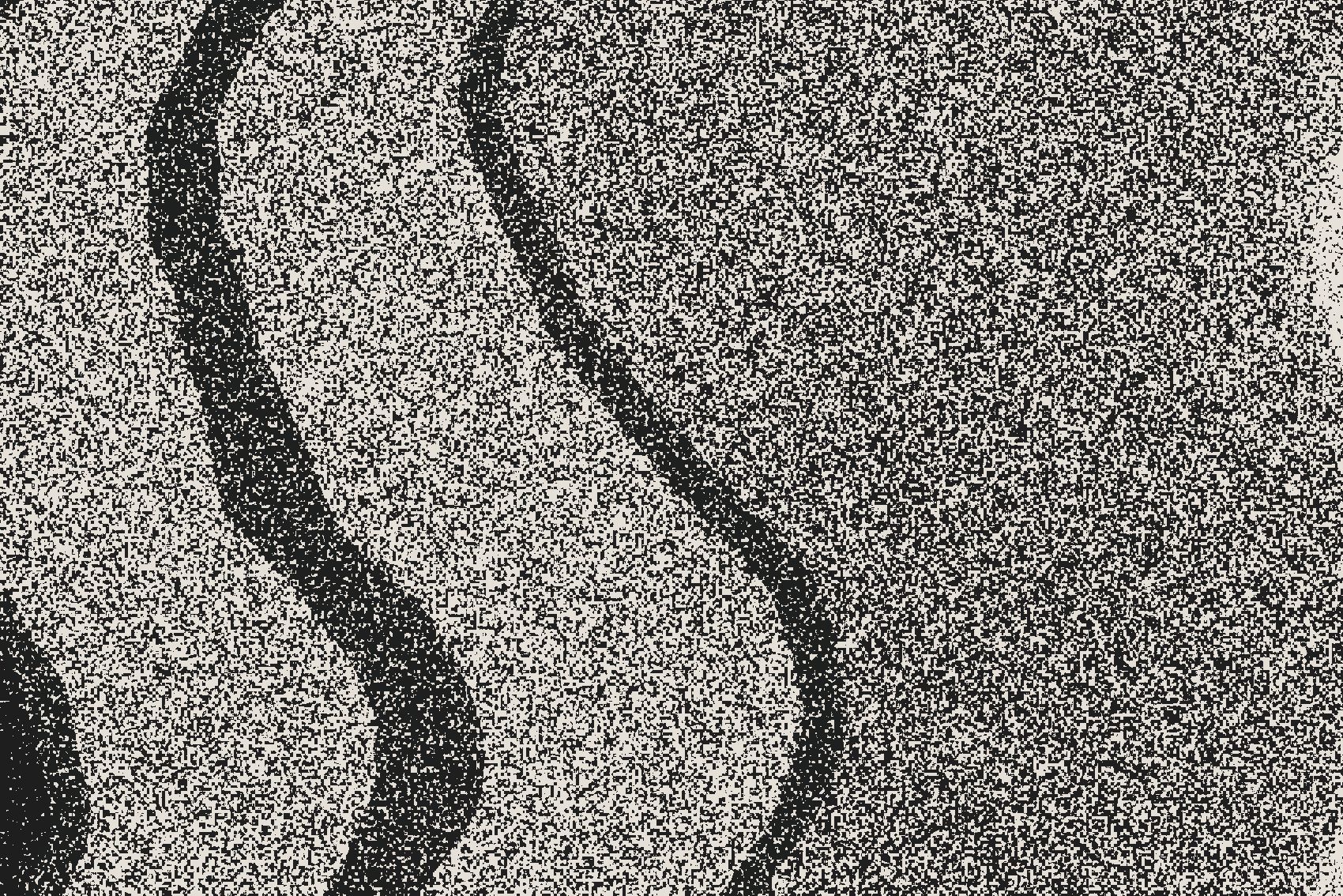 Close-up of Houle at print resolution